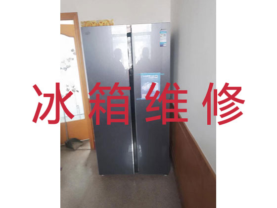 青岛专业电冰箱安装